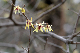 image0207
