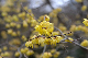 image0210