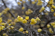 image0212
