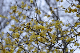 image0213