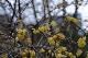 image0214