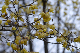 image0215