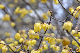 image0217