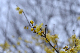 image0218