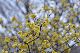 image0219