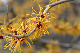 image0222