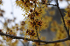 image0223