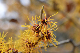 image0224