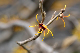 image0226