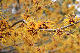 image0229