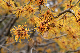 image0230