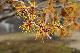 image0231