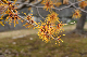 image0232
