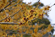 image0233