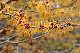 image0234