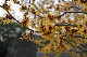 image0235