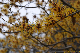 image0236
