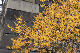 image0237