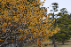 image0238