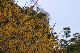image0239
