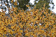 image0240