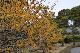 image0241
