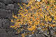 image0242