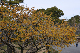 image0243