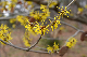image0245