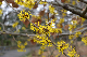 image0246