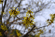 image0248