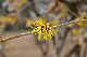 image0249