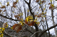 image0251