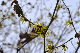 image0253