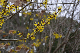 image0255