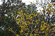 image0259