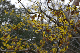 image0260