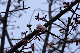 image0261