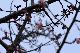 image0262