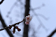 image0263