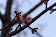 image0264