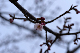 image0265