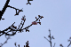 image0266
