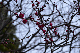 image0270