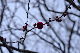 image0273