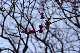 image0274