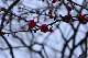 image0275