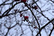 image0276