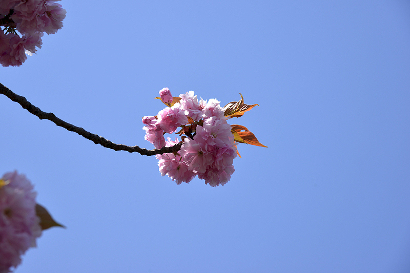image0076