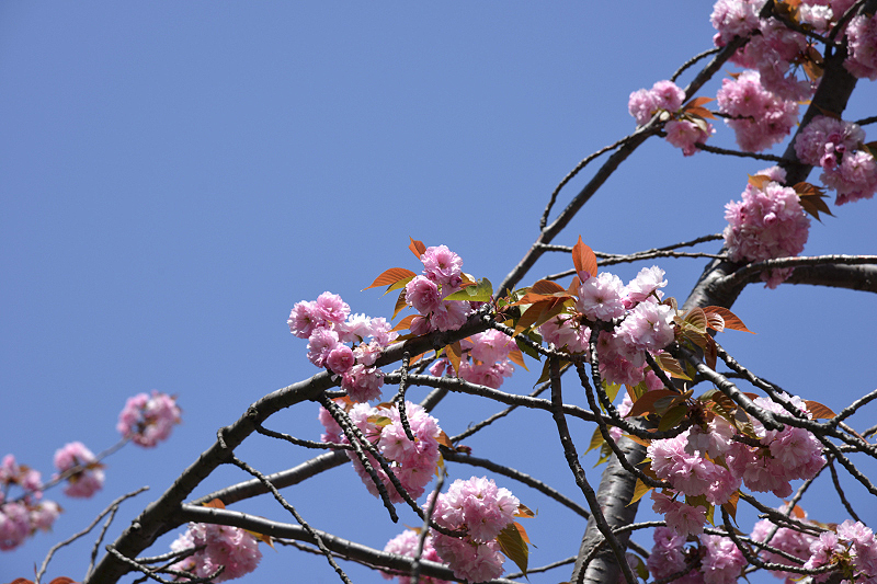 image0100